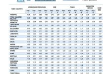 Skor 4,17 di IDSD, Pengamat Nilai Makassar Sedang Bergeliat Jadi Kota Unggul