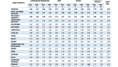 Skor 4,17 di IDSD, Pengamat Nilai Makassar Sedang Bergeliat Jadi Kota Unggul