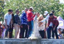 Budidaya Vaname Menjanjikan, Wakil Gubernur Sulteng Reny: Vaname Pilar Ekonomi Biru Daerah