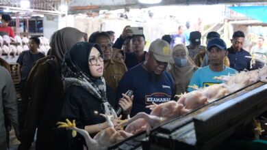 Pemkab Gowa Jaga Stabilitas Harga Bahan Pokok Jelang Idulfitri, Daya Beli Masyarakat Tetap Terjaga