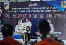 Gubernur Anwar Hafid Resmikan Packing House Durian di Parimo, Perkuat Ekspor dan Serapan Tenaga Kerja