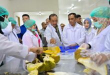 Gubernur Anwar Hafid Resmikan Packing House PT Pondok Durian Sulawesi, Dukung Penuh Hilirisasi Komoditas Durian Expor Ke Cina