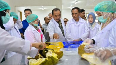 Gubernur Anwar Hafid Resmikan Packing House PT Pondok Durian Sulawesi, Dukung Penuh Hilirisasi Komoditas Durian Expor Ke Cina