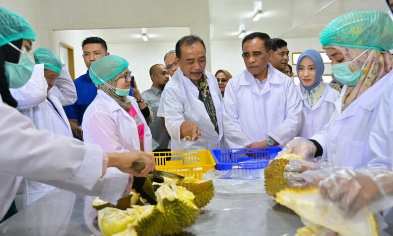 Gubernur Anwar Hafid Resmikan Packing House PT Pondok Durian Sulawesi, Dukung Penuh Hilirisasi Komoditas Durian Expor Ke Cina