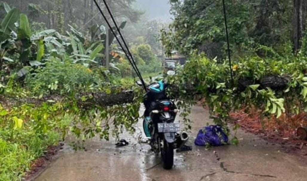 Pemuda Bontocani Tewas Tersengat Kabel Listrik yang Melintang di Jalan Usai Tertimpa Pohon Pinus