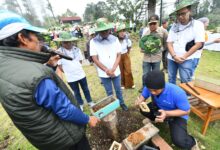 Hutan Lestari Pertamina: Menenun Harmoni Alam, Menuai Kesejahteraan Masyarakat
