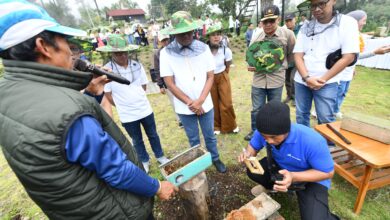 Hutan Lestari Pertamina: Menenun Harmoni Alam, Menuai Kesejahteraan Masyarakat
