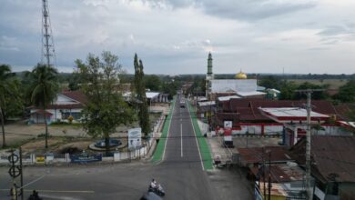 Pemprov Sulsel Tata Ruas Impa-Impa–Anabanua di Sidrap, Bahu Jalan Hijau Dilengkapi Jalur Sepeda