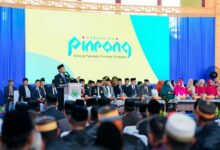 Hari Jadi ke-66 Kabupaten Pinrang, Gubernur Sulsel Tekankan Sinergi untuk Dongkrak Ekonomi dan Kesejahteraan