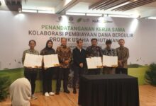 Sekda Lutim Saksikan Penandatanganan Kerja Sama BPDLH–Mars, Dorong Pembiayaan Hijau untuk Petani Kakao