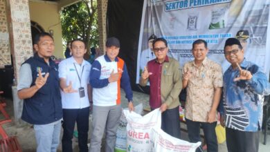 Revitalisasi Sektor Perikanan, Pemkab Lutim Salurkan Pupuk Subsidi bagi 1.163 Petambak