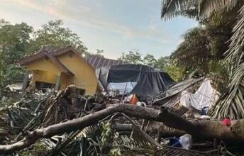 Pohon Tumbang Hantam Pesta Pernikahan di Bone, Ibu Pengantin Meninggal Dunia