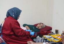 Kalla Translog Rutin Gelar Donor Darah, Bagikan Bibit Pohon untuk Dukung ESG Berkelanjutan