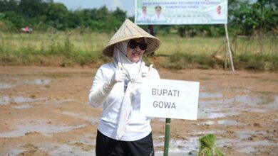 Dorong Swasembada Pangan, Bupati Gowa Optimalkan Program Cetak Sawah Rakyat