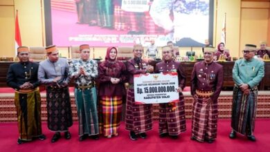 Hari Jadi Wajo ke-627, Gubernur Sulsel Genjot Konektivitas Jalan dan Irigasi Dipercepat