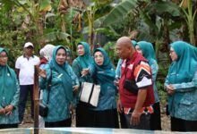 PKK Makassar Bekali Kader Kelola Kebun dan Halaman Produktif Lewat Bimtek Aku Hatinya PKK