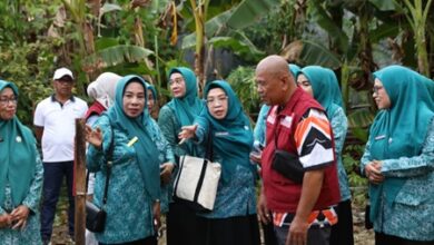 PKK Makassar Bekali Kader Kelola Kebun dan Halaman Produktif Lewat Bimtek Aku Hatinya PKK