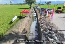 Dimulai dari Soppeng, Gubernur Sulsel Groundbreaking Program MYP Rehabilitasi Daerah Irigasi