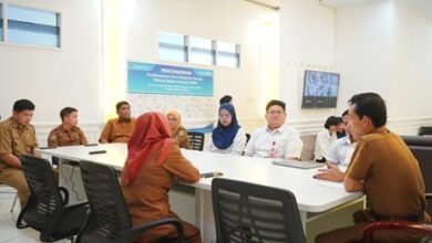 Pemprov Sulteng Perkuat Keamanan Siber, Diskominfosantik Terima Audiensi BSSN untuk Pengukuran PTKKS