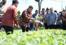 Wali Kota Makasar Tinjau Urban Farming di Tamalate dan Wajo, Targetkan Kemandirian Pangan Bagi Warga