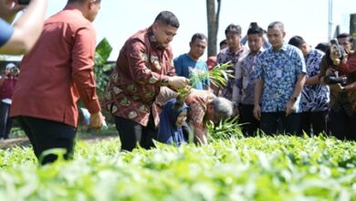 Wali Kota Makasar Tinjau Urban Farming di Tamalate dan Wajo, Targetkan Kemandirian Pangan Bagi Warga
