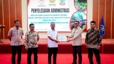 Sulsel Kebagian 25 Sapi Kurban Bantuan Presiden Prabowo, Gubernur Andi Sudirman: Akan Disalurkan ke Wilayah Prioritas