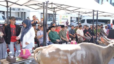 Momentum Iduladha, Pemkot Makassar Tebar Kepedulian Lewat Penyembelihan 9 Sapi Kurban
