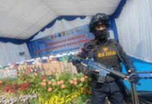Bea Cukai Sulbagsel Musnahkan Rokok dan Minuman Beralkohol Ilegal, Tegaskan Perang Melawan Barang Cukai Ilegal