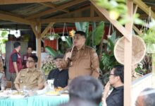 Urban Farming Jadi Andalan, Wali Kota Makassar Minta Warga Maksimalkan Pekarangan
