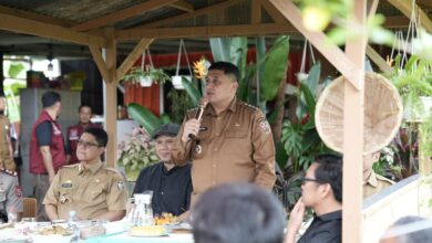 Urban Farming Jadi Andalan, Wali Kota Makassar Minta Warga Maksimalkan Pekarangan