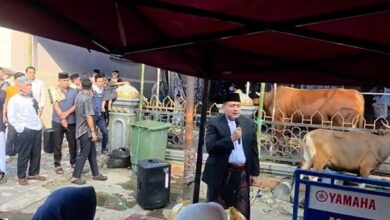 Pemkot Makassar Distribusikan 7.261 Sapi dan 402 Kambing Kurban, Appi: Disalurkan Harus Jujur dan Adil