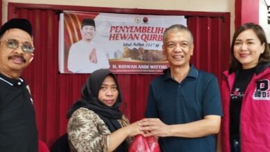 PDI Perjuangan Sulsel Salurkan 151 Hewan Kurban, Ridwan Andi Wittiri: Kurban Wujud Kesalehan Sosial