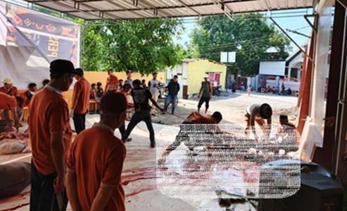 Kolaborasi Jemaah dan Warga, Masjid Jannatul Firdaus Telkomas Sembelih 15 Ekor Hewan Kurban