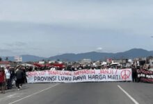 Kajian IPDN: Pemekaran Luwu Raya Bisa Koreksi Ketidakadilan Pembangunan di Sulsel