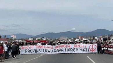 Kajian IPDN: Pemekaran Luwu Raya Bisa Koreksi Ketidakadilan Pembangunan di Sulsel