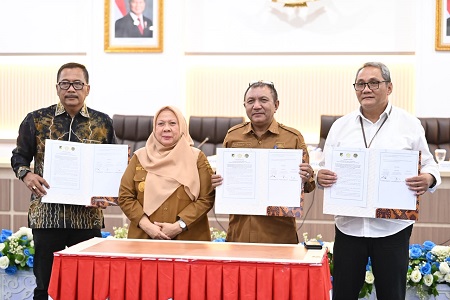 Wagub Reny: Data Lengkap, Digitalisasi, dan Inovasi Kunci Percepatan Bedah Rumah di Sulteng