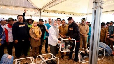 Panen Padi 10,4 Ton per Hektare, Wagub Sulsel Dukung Penguatan Pertanian Modern di Sidrap