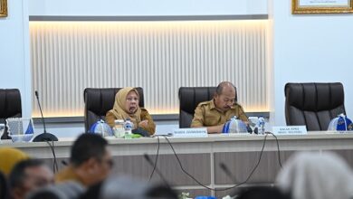 Wagub Sulsel Reny: Masa Transisi Darurat Gempa Sigi Berakhir, Pemerintah Fokus Percepatan Pemulihan