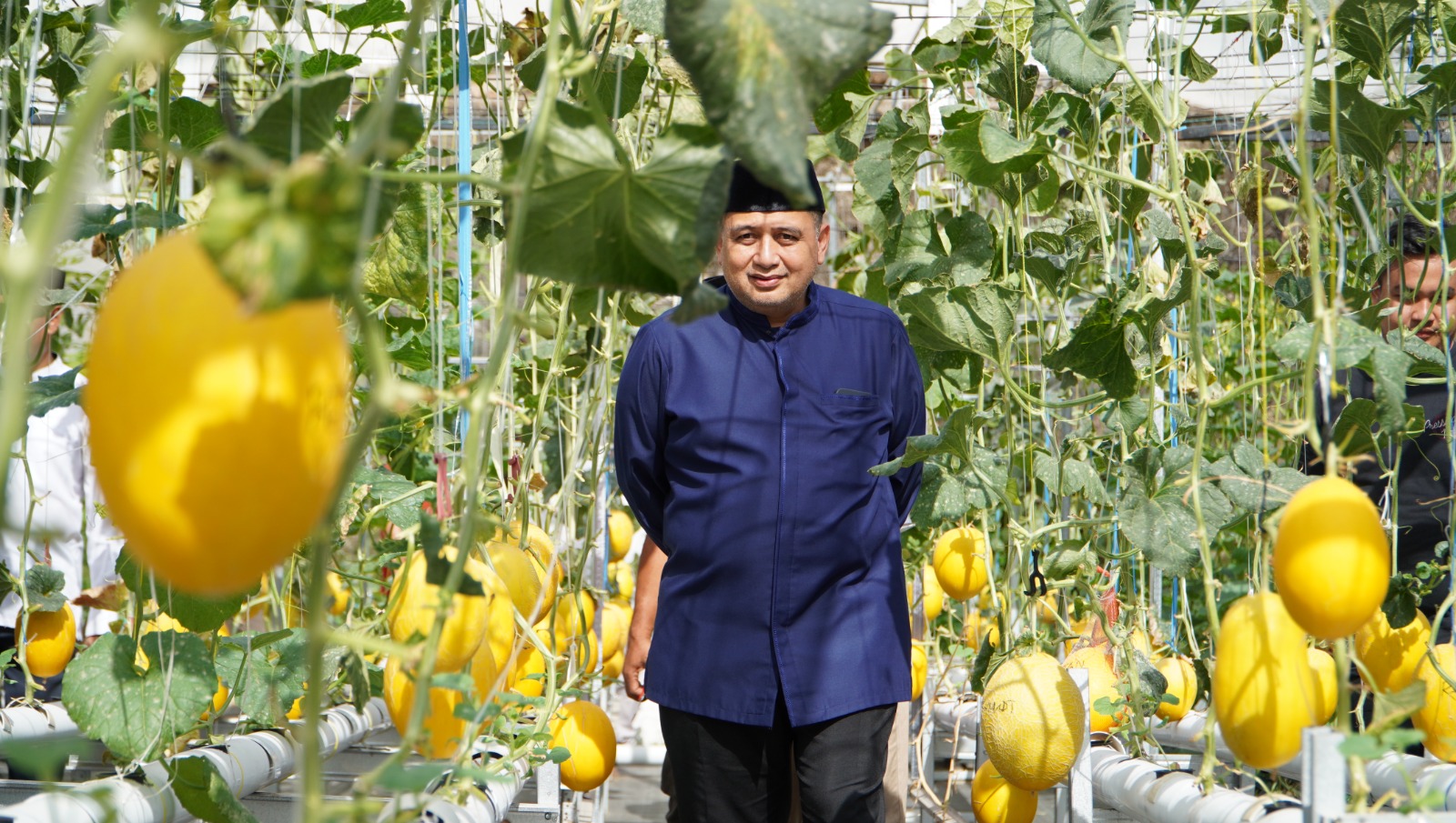 urban farming Bukit Baruga,
