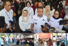 24 Perusahaan Buka Lowongan di Job Fair Kota Palu 2026, 240 Lapangan Kerja Berpotensi Terbuka