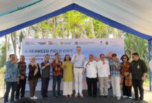 OJK Dukung e-Seaweed, Perluas Akses Pembiayaan Petani Rumput Laut Sulsel