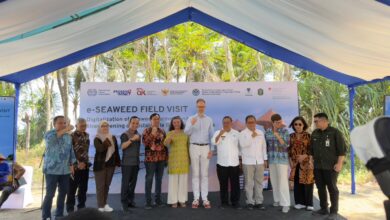 OJK Dukung e-Seaweed, Perluas Akses Pembiayaan Petani Rumput Laut Sulsel