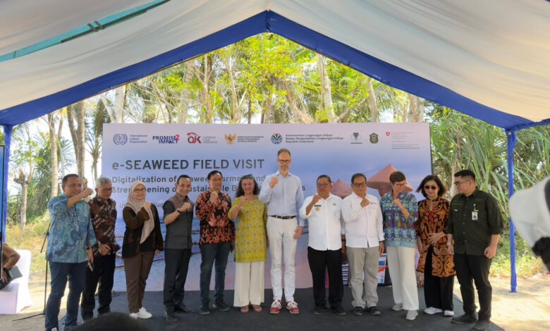 OJK Dukung e-Seaweed, Perluas Akses Pembiayaan Petani Rumput Laut Sulsel