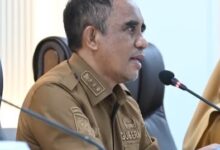 Perjuangkan Judicial Review Undang-Undang Minerba, Gubernur Anwar Hafid Soroti Paradoks Hilirisasi
