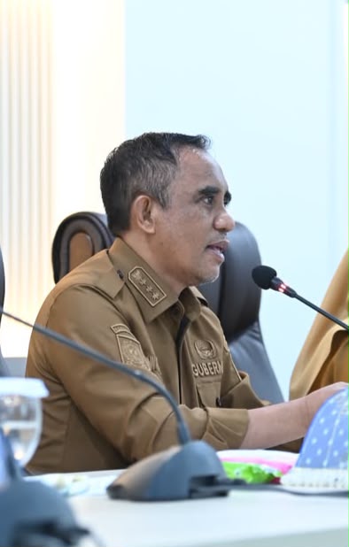 Perjuangkan Judicial Review Undang-Undang Minerba, Gubernur Anwar Hafid Soroti Paradoks Hilirisasi