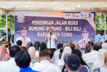 Tak Ada Lagi Jalan Berlubang dan Debu, Gubernur Andi Sudirman Resmikan Jalan Burung-Burung dan Bili-Bili