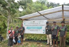 Hadapi Dampak El Nino, LAZ Hadji Kalla Dorong Petani di Parigi Moutong Diversifikasi Usaha