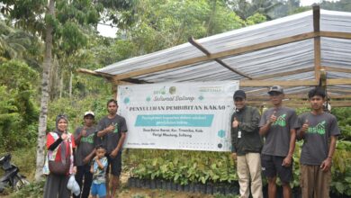 Hadapi Dampak El Nino, LAZ Hadji Kalla Dorong Petani di Parigi Moutong Diversifikasi Usaha