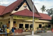 Batik Juara Luwu Timur Disorot Polisi, Nilai Transaksi Diperkirakan Rp3,69 Miliar