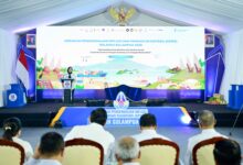 Wagub Sulsel Dukung Penguatan Konektivitas dan Kerja Sama Pangan Sulampua